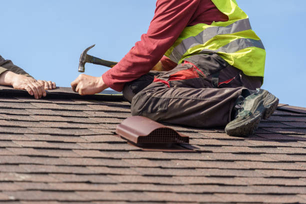 Best Roof Maintenance Services  in Rio, WI