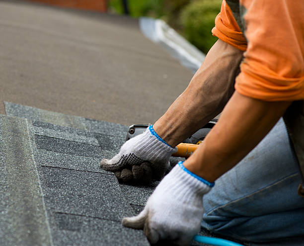 Best Slate Roofing Contractor  in Rio, WI