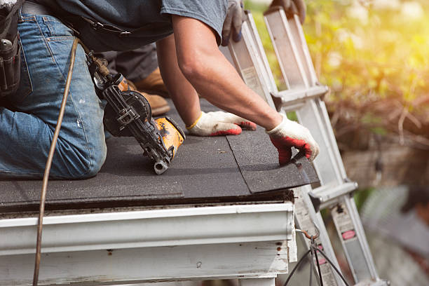 Best Gutter Installation and Roofing  in Rio, WI