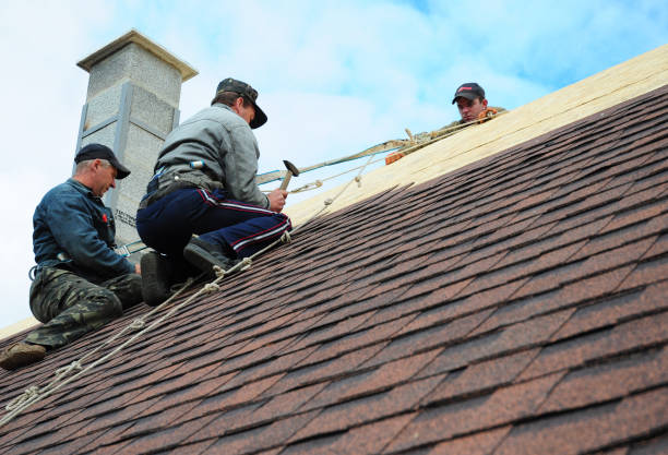 Best Slate Roofing Contractor  in Rio, WI
