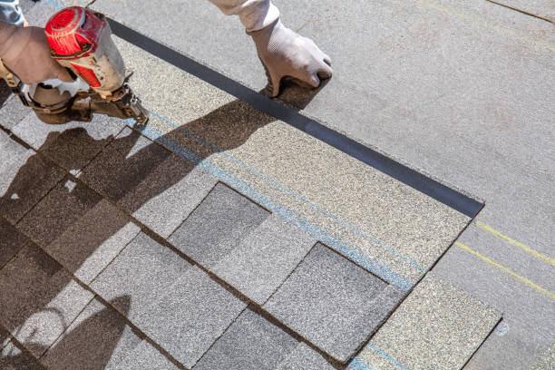 Best Local Roofing Companies  in Rio, WI