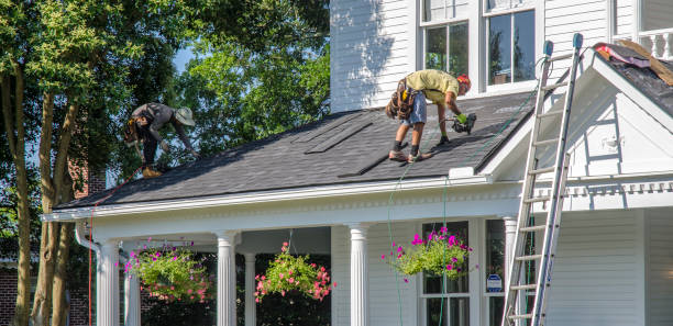 Best Roof Gutter Cleaning  in Rio, WI