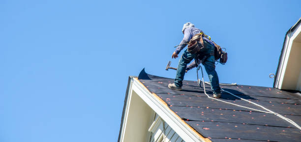 Best Local Roofing Companies  in Rio, WI